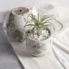 Rustic Cement Flower Pot
