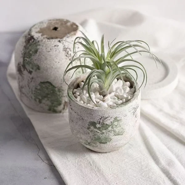 Rustic Cement Flower Pot