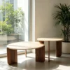 Modern Nesting Coffee Table Set