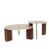 Modern Nesting Coffee Table Set