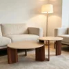 Modern Nesting Coffee Table Set