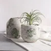 Rustic Cement Flower Pot